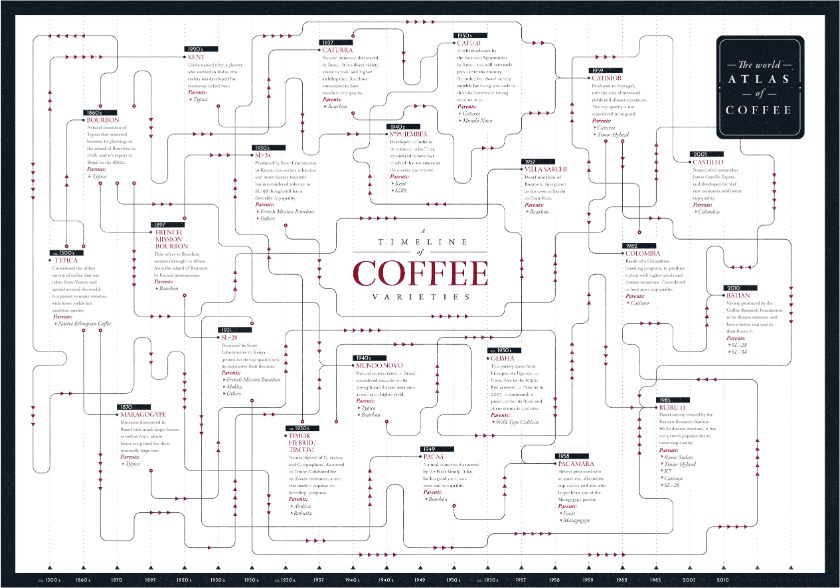 Карта сортов Арабики