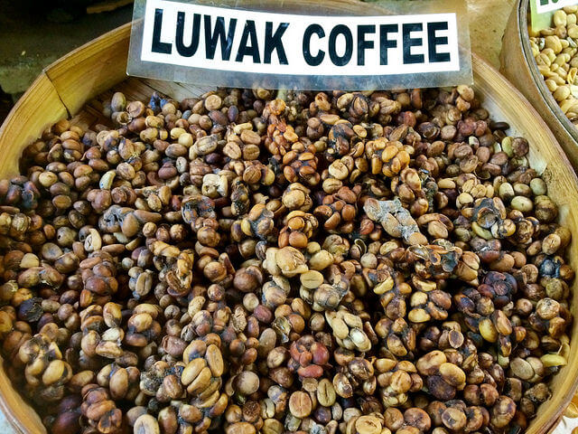 Coffee luwak