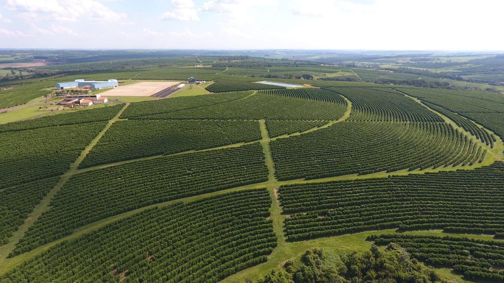 Часть плантаций O’Coffee Brazilian Estates и станция мытой обработки