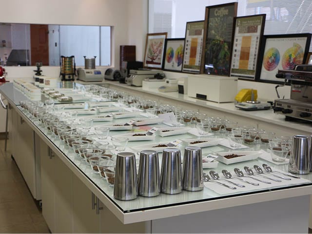 Стол для каппинга в лаборатории качества O’Coffee Brazilian Estates