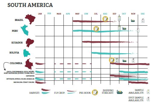 Карта сбора урожая кофе Бразилия Южная Америка © trabocca.com