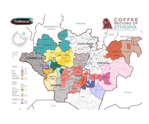 Карта кофейных регионов Эфиопии